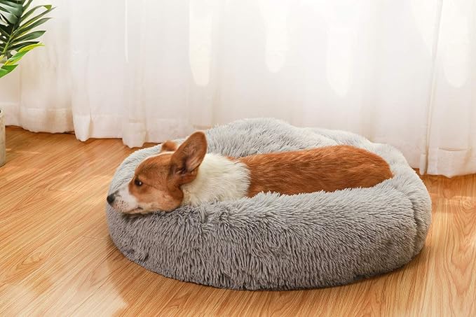 Donut Dog Beds for Medium Dogs
