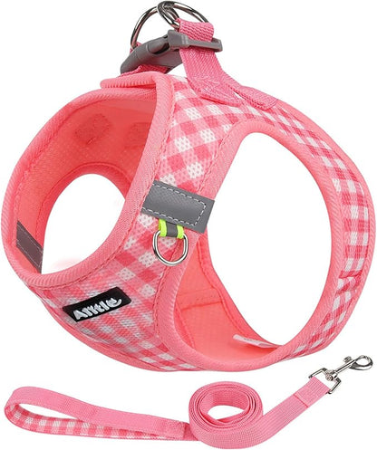 AIITLE No Pull Dog Harness and Leash Set, Step in No Chock Soft Mesh Dog Harnesses Reflective for Extra-Small Puppy Dogs and Cats, Plaid Dog Vest Harness for Pets Watermelon XXS