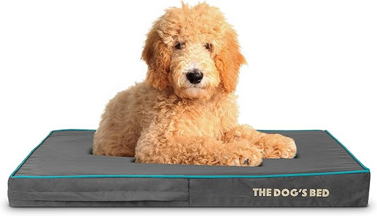 The Dog’s Bed Orthopedic Memory Foam Dog Bed 40x25x4, Pain