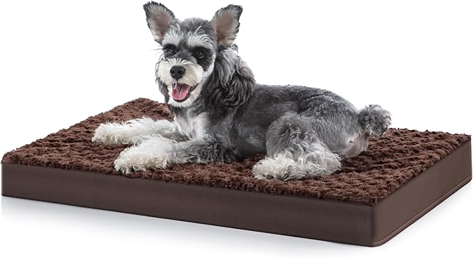 JOEJOY Orthopedic Dog Bed for Medium Small Dogs 30x20 Inch,