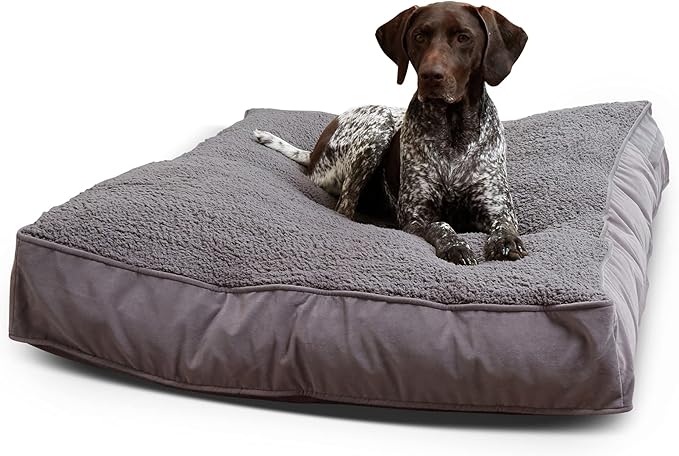 South Pine Porch Buddy Rectangle Pillow Style Dog Bed (48" x 36")