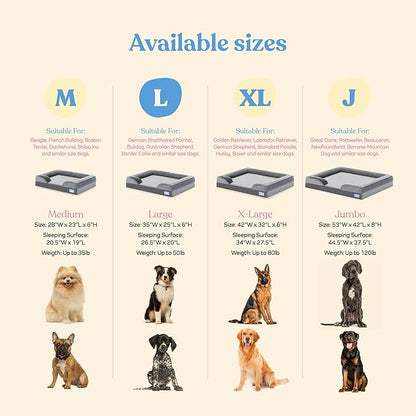 Orthopedic Sofa Dog Bed