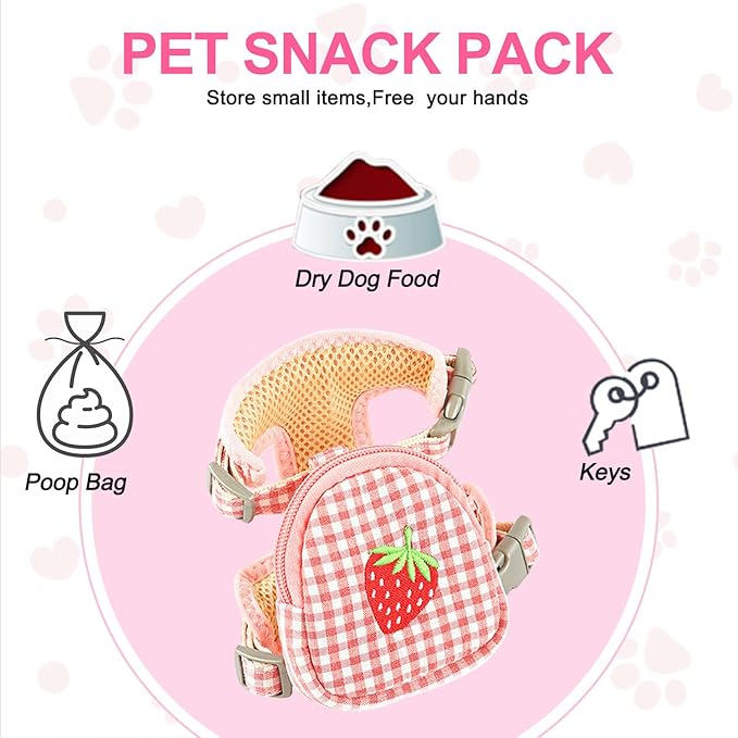 Pet Backpack Harness with Leash Set 1 Pack