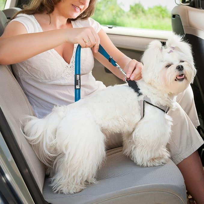 Best Dog Supplies Dog Car Seat Belt