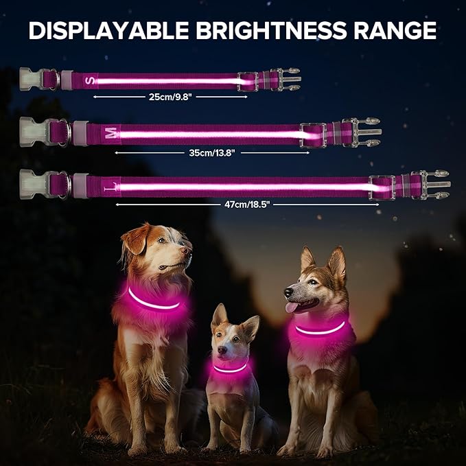 Led Dog Collar for Night Walking