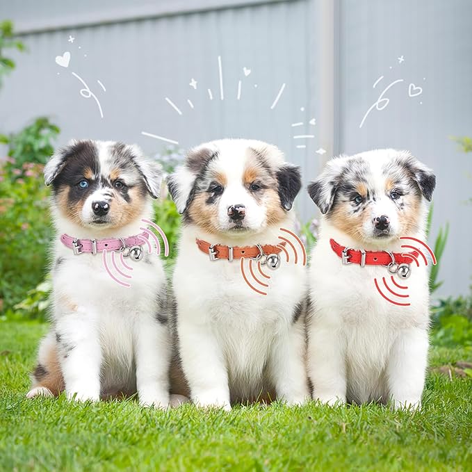 L Dog Collar for Small Dogs Adjustable Dog Collars Cat Collar for Small Medium Large Dogs 1.18 inch Width (Golden