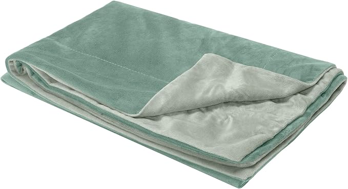 Furhaven Waterproof Throw Blanket for Dogs & Indoor Cats, Washable - Two-Tone Luxe Velvet Dog Blanket - Celadon Green, Medium