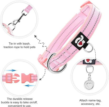 azuza Reflective Dog Collar