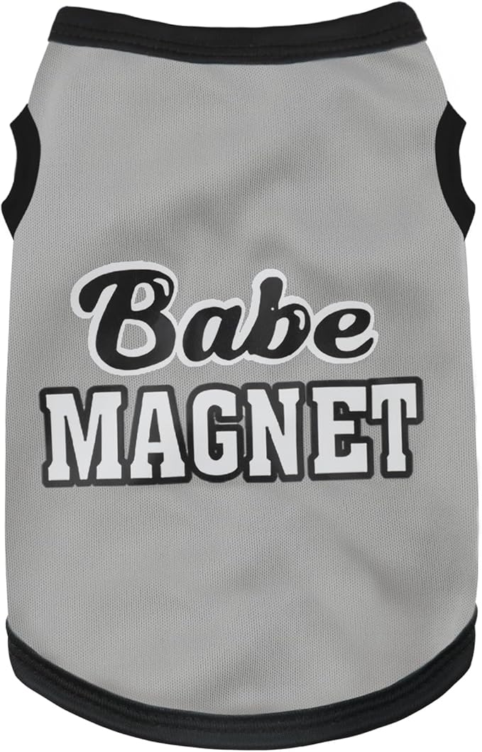 Elevate Your Pet's Seasonal Style with Playful Panache: Series1 Large