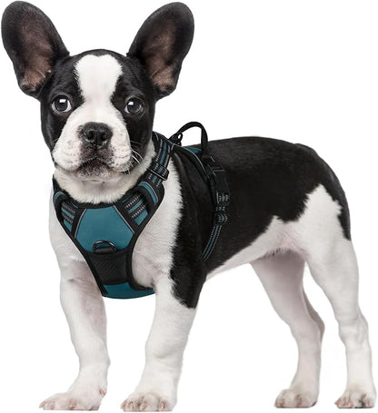 rabbitgoo Dog Harness, No-Pull Pet Harness with 2 Leash Clips, Adjustable Soft Padded Dog Vest, Reflective No-Choke Pet Oxford Vest with Easy Control Handle for Small Dogs, Blue Coral, S