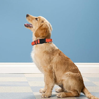 Reflective Dog Collar
