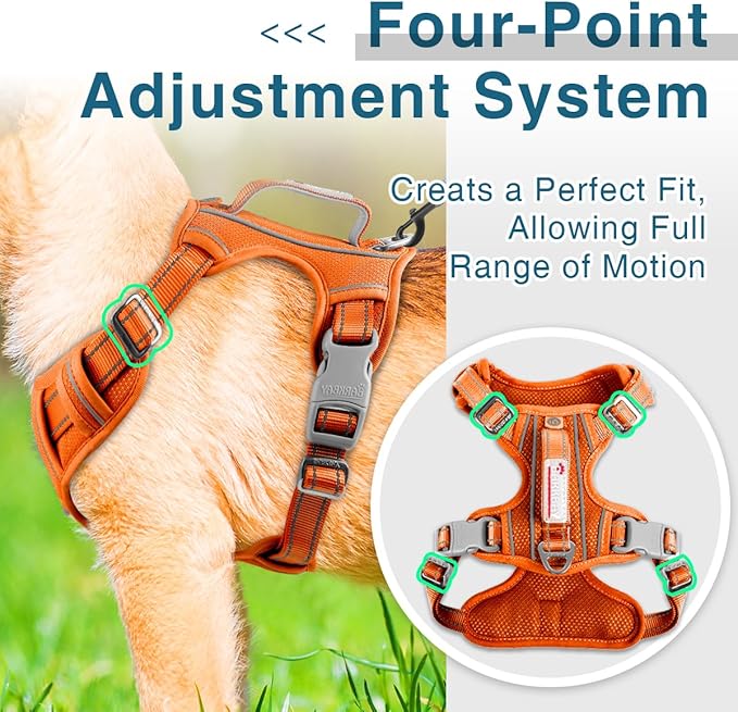 BARKBAY Dog Harness No Pull with ID Tag Pocket - Heavy Duty, Reflective, Easy Control for Large Dogs (Orange,S)