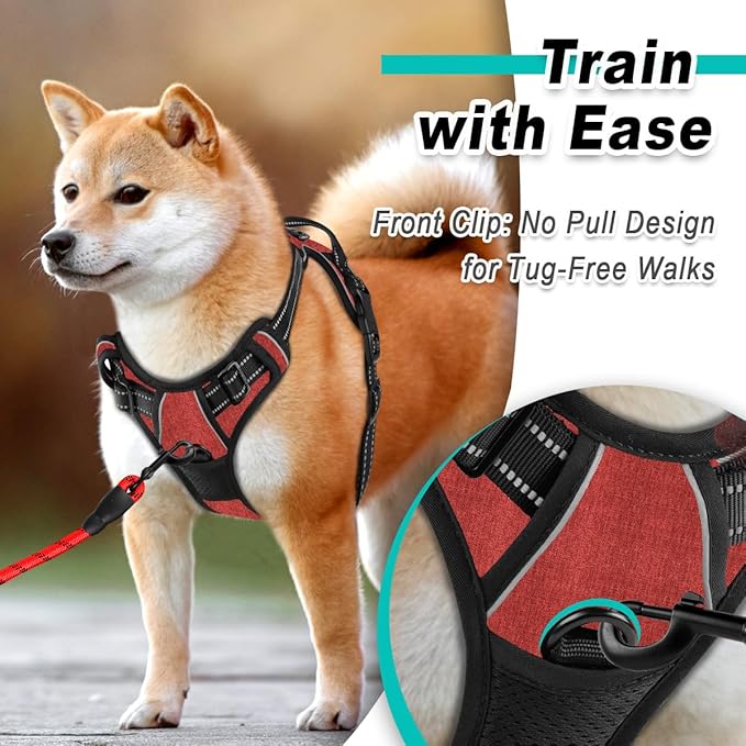 BARKBAY Dog Harness No Pull for Small Dogs - Adjustable, Reflective, Comfortable, No Choke, Heavy-Duty - Perfect for Outdoor Training, Walking, and Hiking - Strong & Durable - S & Roi Red