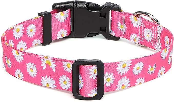 Adjustable Dog Collar with Patterns