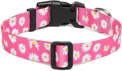 Adjustable Dog Collar with Patterns
