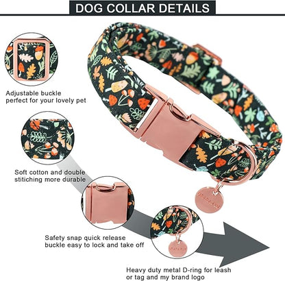 Daisy Fall Cotton Dog Collar with Metal Buckle