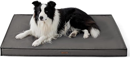 Lesure Outdoor Waterproof Dog Beds for Large Dogs