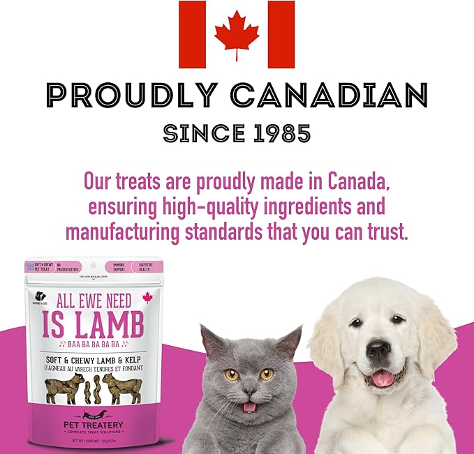 Soft & Chewy Kelp & Lamb Treats for Dogs & Cats (6.17 oz 1) -