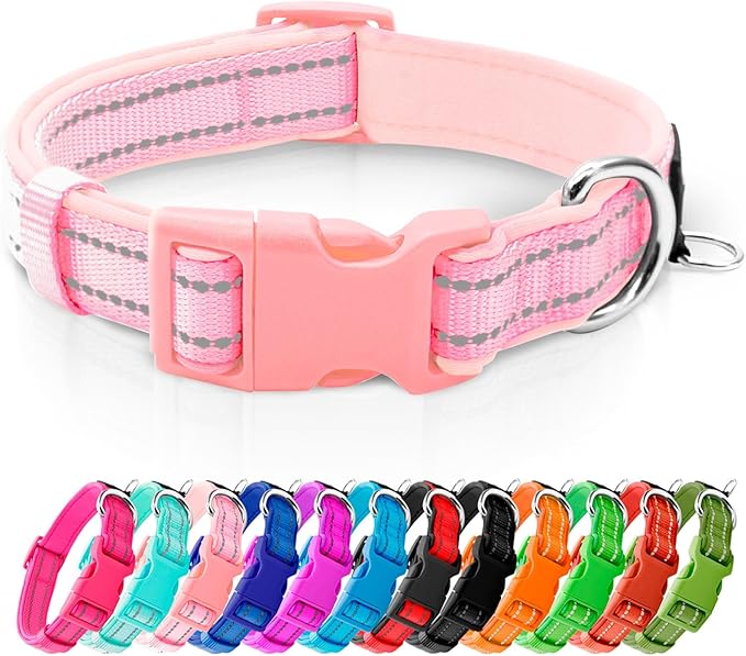 azuza Reflective Dog Collar