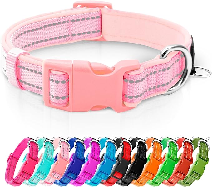 azuza Reflective Dog Collar