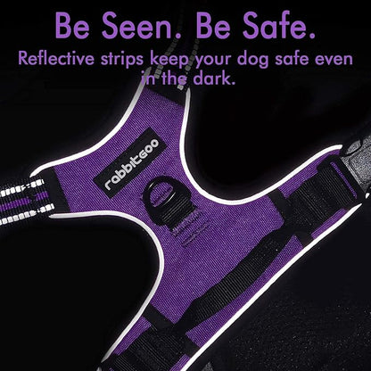 rabbitgoo Dog Harness, No-Pull Pet Harness with 2 Leash Clips, Adjustable Soft Padded Dog Vest, Reflective No-Choke Pet Oxford Vest with Easy Control Handle for Large Dogs, Purple, L