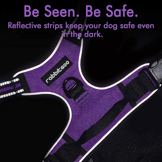 rabbitgoo Dog Harness, No-Pull Pet Harness with 2 Leash Clips, Adjustable Soft Padded Dog Vest, Reflective No-Choke Pet Oxford Vest with Easy Control Handle for Large Dogs, Purple, XL