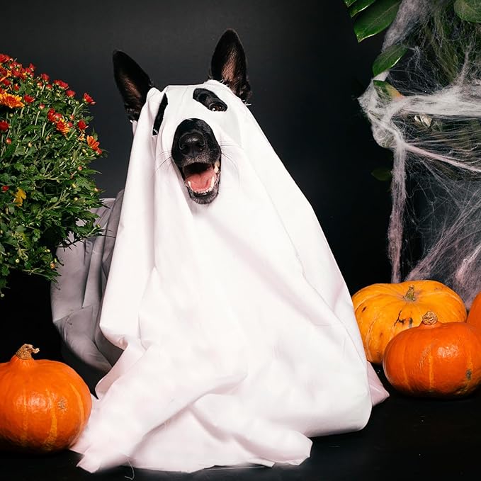 Halloween Ghost Dog Costume Dog White Costumes Ghost Costumes for Dogs Cats with Ear Opened Halloween Dog Cosplay Costume Halloween Trick or Treat Party Cosplay for Dog