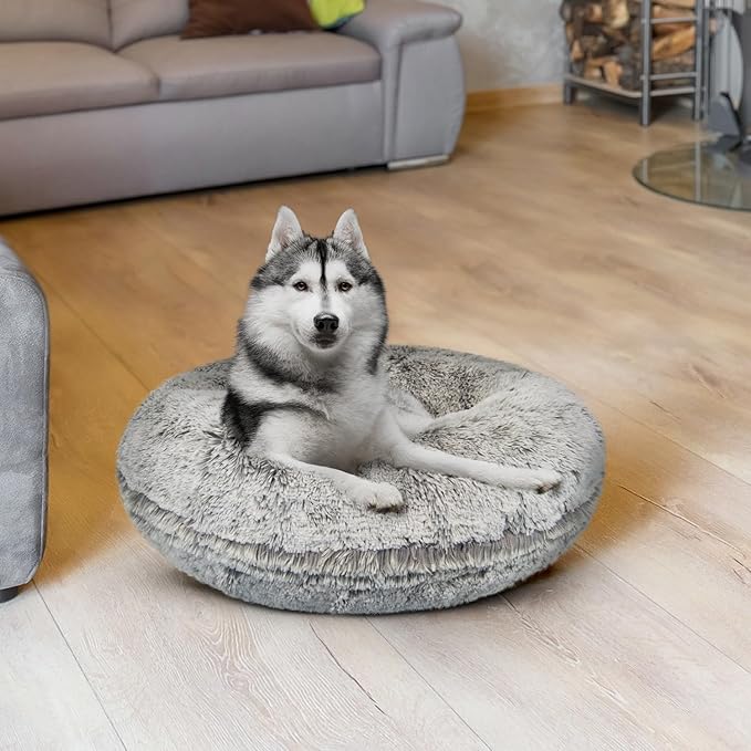 Bessie and Barnie Bagel Donut Dog Bed