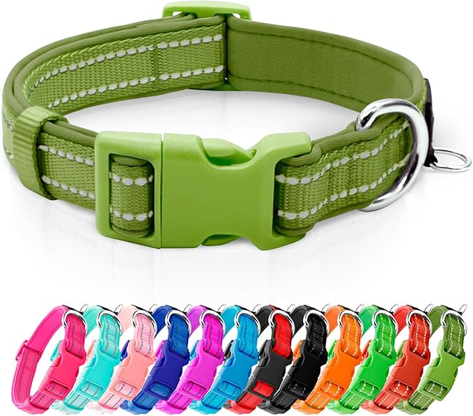 azuza Reflective Dog Collar