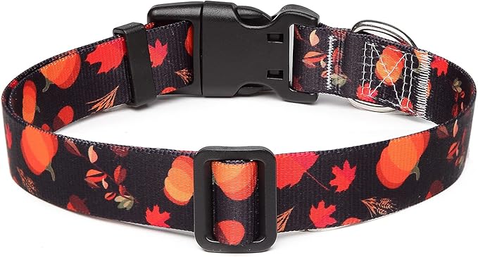 Adjustable Dog Collar with Patterns