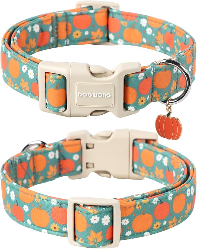 DOGWONG Fall Pumpkin Dog Collar- Cute Fall Holiday