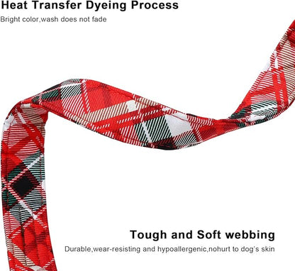 Lionet Paws Chirstmas Grid Dog Collar 10-16 inches