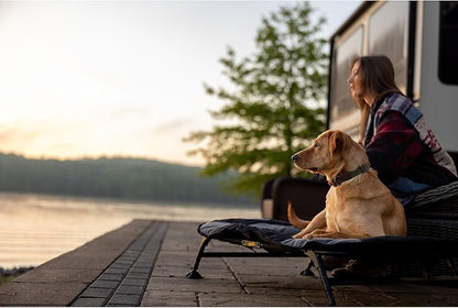 Momarsh Elevated Dog Cot with Washable Soft Pad & Folding Frame for Travel & Home Use