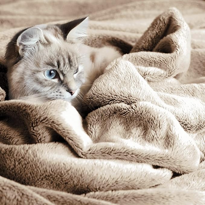 Veehoo Fluffy Fleece Dog Blanket 60x50 inch