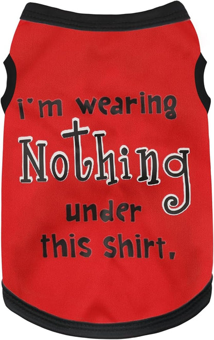 Elevate Your Pet's Seasonal Style with Playful Panache: Series4 Small