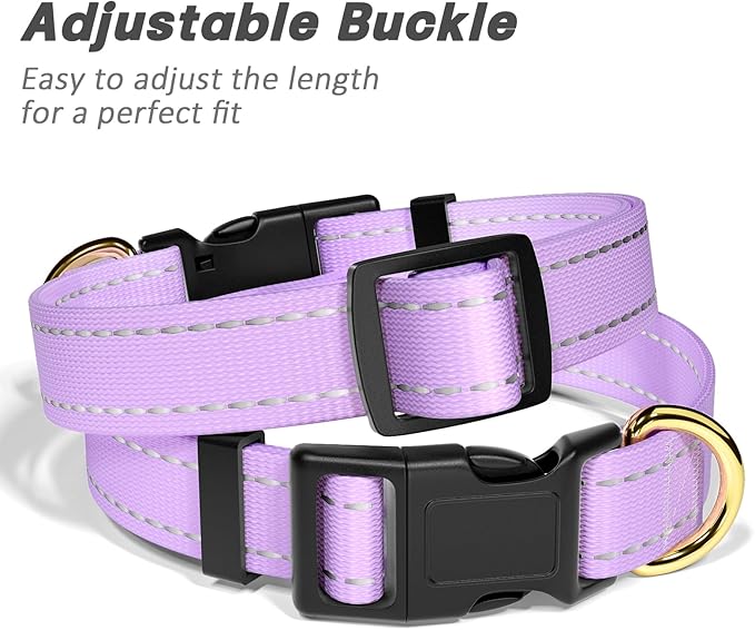 Reflective Dog Collar