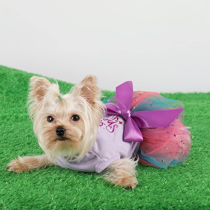 Summer Dog Clothes Dog Dress for Small Medium Dogs Girl