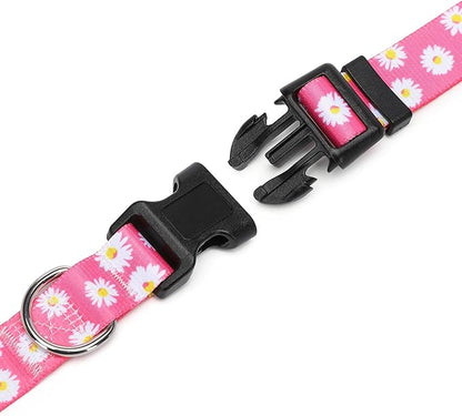 Adjustable Dog Collar with Patterns