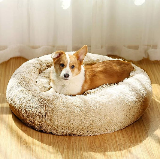 Donut Dog Beds for Medium Dogs