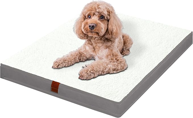 Easy-Going Dog Bed for Small Dogs (20x15x3 in,