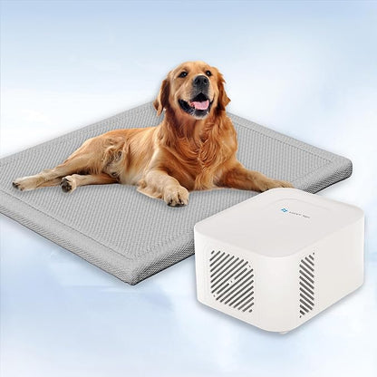 Pet Pad Cooling System for Summer