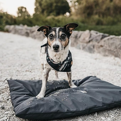 Dog Bed Cover Replacement Washable. 44 "L X 32 "W X 4 "H Washable Removable Orthopedic, Cooling Gel and Memory Foam pet Bed Protector Cover, Cover only (Black)