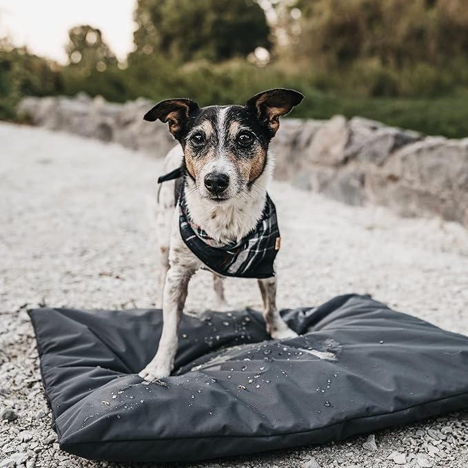 Dog Bed Cover Replacement Washable. 30 "L X 20 "W X 3 "H Washable Removable Orthopedic, Cooling Gel and Memory Foam pet Bed Protector Cover, Cover only (Black)