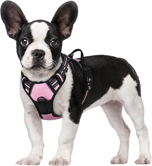 rabbitgoo Dog Harness, No-Pull Pet Harness with 2 Leash Clips, Adjustable Soft Padded Dog Vest, Reflective No-Choke Pet Oxford Vest with Easy Control Handle for Small Dogs, Pink, S