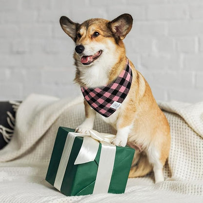 E-Clover Dog Bandanas & Matching Scrunchie Girl Dog