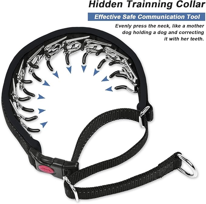 Martingale Collar for Dogs