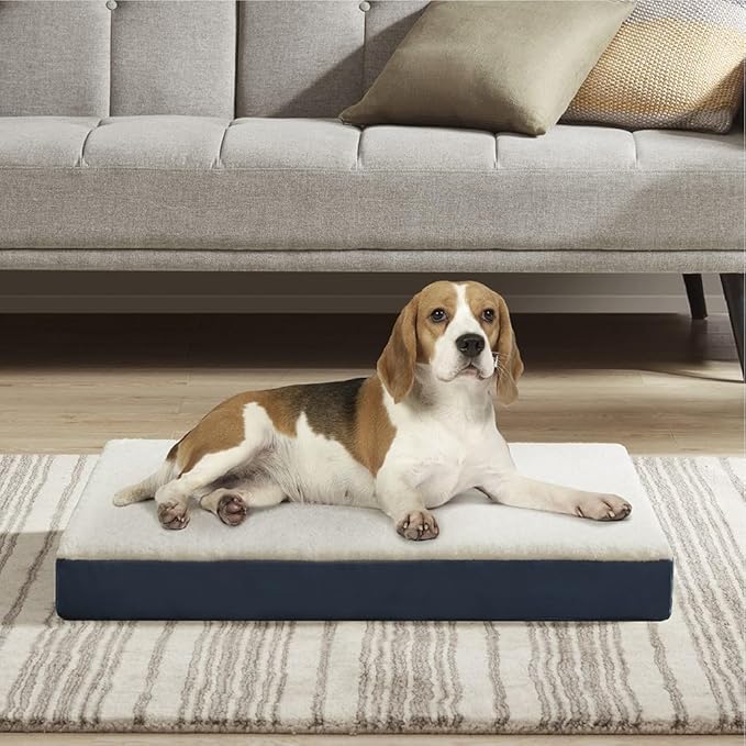 Friends Forever Orthopedic Dog Bed 30x20x3