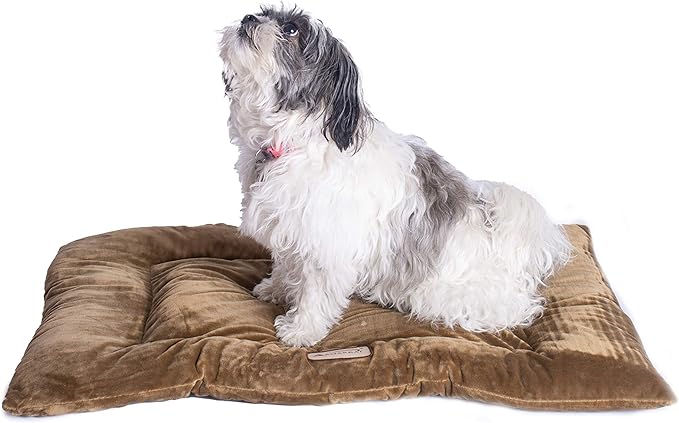 Armarkat Pet Bed Mat 27-Inch by 19-Inch by 2.5-Inch M01-Medium M01CHL-M)