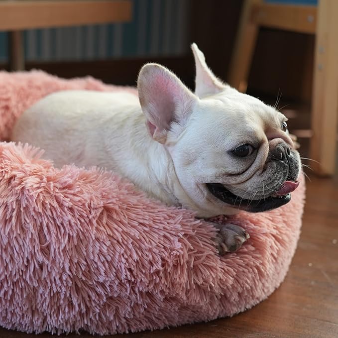 Girl Dog Bed Washable Dogs,23 inches 15 lbs