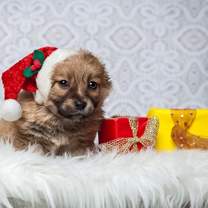 Fluffy Small Dog Cat Bed Mat